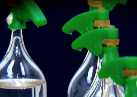 Polícia apreende drogas com rótulo do meme “Que show da Xuxa é esse?” 