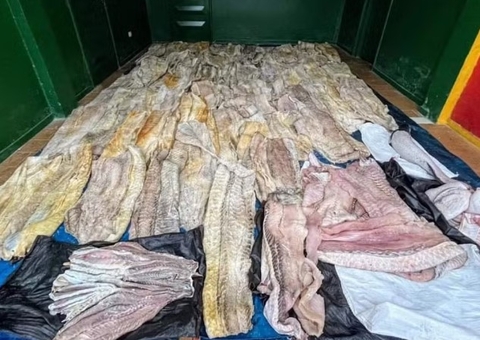 Exército apreende uma tonelada de pesca ilegal e duas mil munições no Amazonas