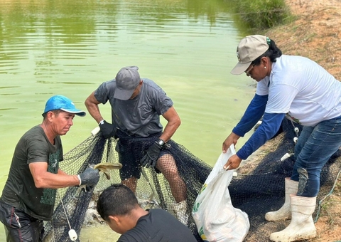 Governo do Amazonas realiza 1ª edição especial do Feirão do Pescado em Manaus 