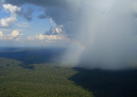 Estudo mostra que desmatamento na Amazônia prejudica produção do agrícola no país