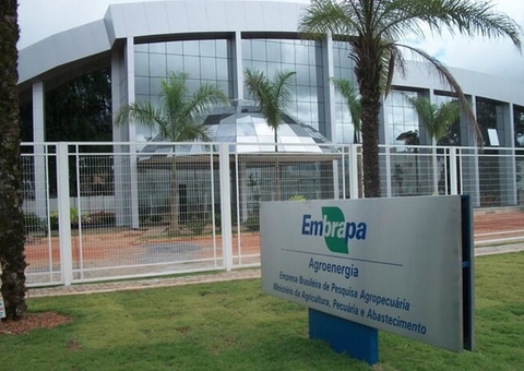 Embrapa abre concurso com 1.027 vagas e salário de até R$12,8 mil