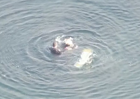 Roubo de joias termina em perseguição, capotamento e fuga a nado