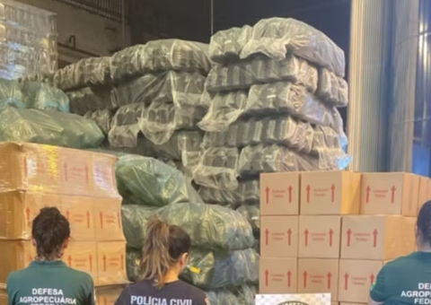 Polícia apreende 17 mil litros de azeite e interdita empresa suspeita de fraudar produção