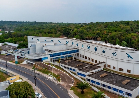 Inscrições para programa de startups de bioeconomia na Amazônia são prorrogadas; saiba mais