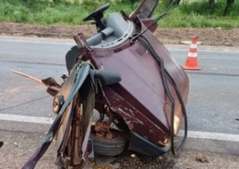 Duas crianças morrem em acidente com tamanduá