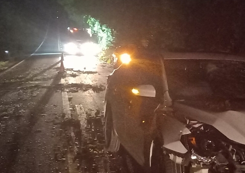 Carreta arrasta carros e deixa feridos após desviar de árvore na BR-174