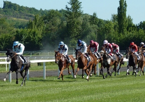 Governo permite apostas em animais, incluindo vaquejada e corrida de cavalo