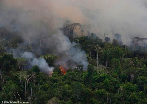 Lei cria critérios ambientais para transferência de recursos a municípios do Amazonas