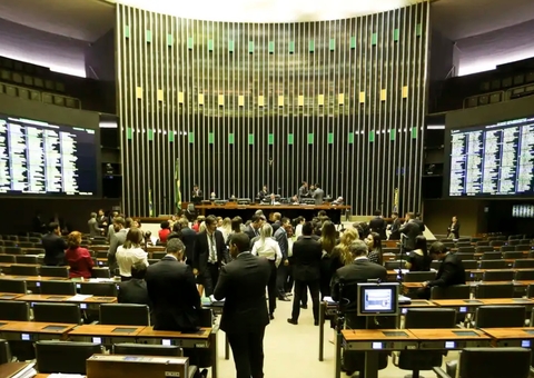 Câmara autoriza deputados a usar verba pública para pagar bagagem em voos