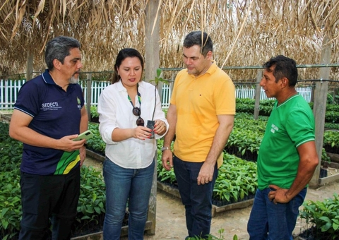 Governo do Amazonas sanciona lei que fortalece a bioeconomia e impulsiona o desenvolvimento sustentável
