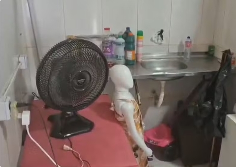 Falsa dentista é presa por procedimentos ilegais dentro de loja de roupas