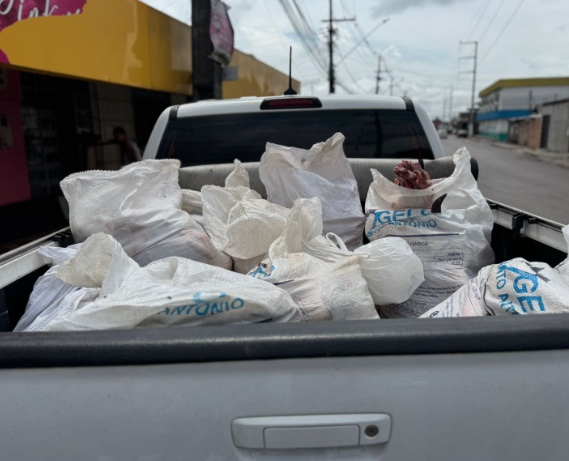 Ao vivo: Operação apreende mais de 400 quilos de carne imprópria para consumo