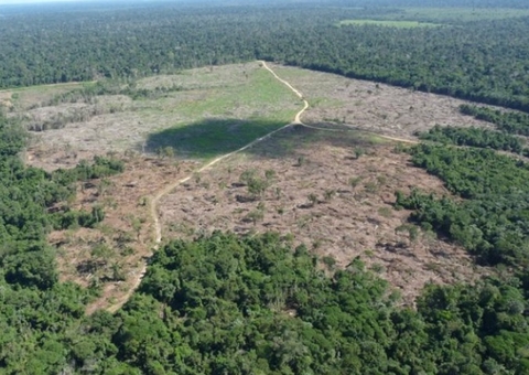 Ministro do STF exige mais informações sobre plano de proteção da Amazônia