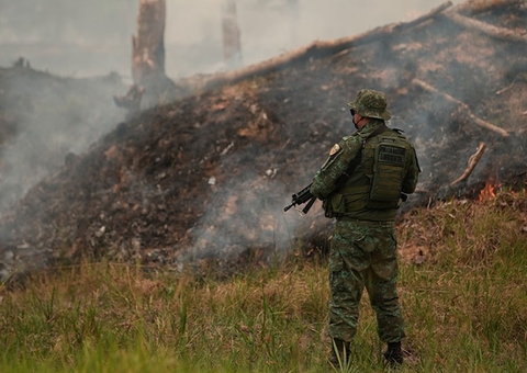 STF manda governo usar fundos ambientais retidos na proteção da Amazônia