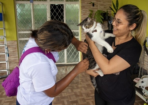 Campanha antirrábica animal é prorrogada com vacinação em 41 pontos fixos