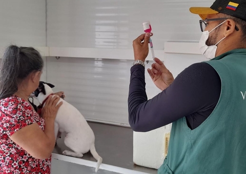 Saiba onde o castramóvel estará com agendamento presencial nesta sexta-feira