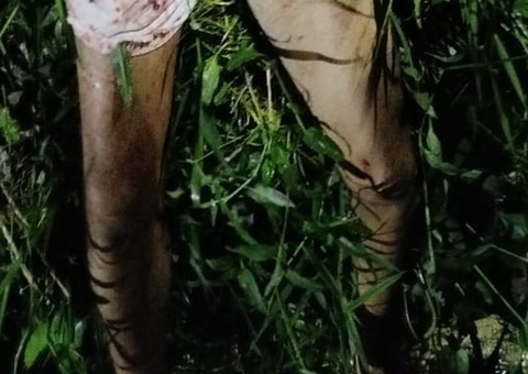 Pistoleiros perseguem e matam homem com 8 tiros no Alfredo Nascimento