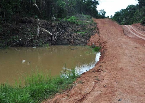 MPF abre inquérito para investigar abertura ilegal de ramais na BR-319