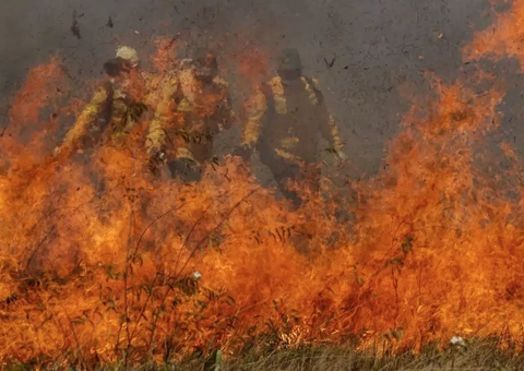 Trump suspende parceria com Brasil para combate a incêndios florestais