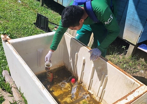 Amazonas confirma 631 casos de dengue e 8 casos de febre Mayaro