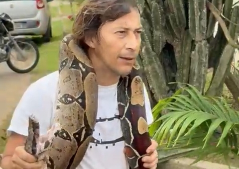 Moradores encontram cobra gigante em estrada no Tarumã; veja vídeo