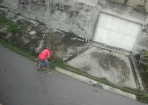 Vídeo mostra idoso atacando vizinha a tesouradas no Petrópolis