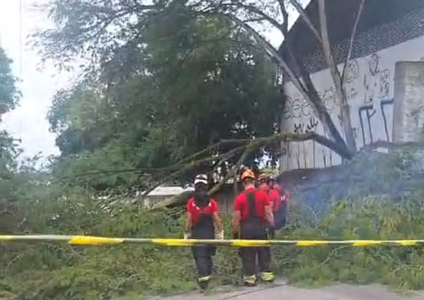 Moradora se revolta com Amazonas Energia após fiação cair sobre casa com 4 crianças em Manaus