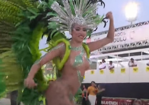 A Grande Família fecha desfile com enredo sobre gás natural e sustentabilidade