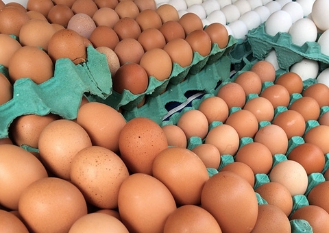 Ministro afirma que preço dos ovos de galinha deve cair após Páscoa