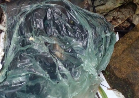 Recém-nascido é achado morto em meio ao lixo no Colônia Antônio Aleixo