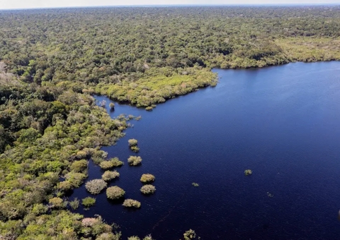 Irlanda anuncia doação de R$ 91 milhões para o Fundo Amazônia