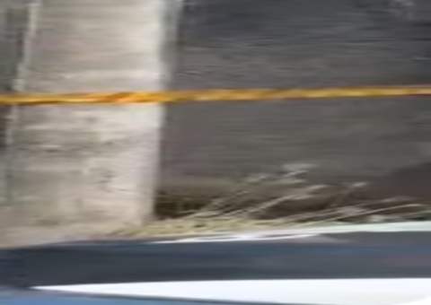 Homem morre e tem rosto desfigurado após invadir casa e ser atacado por cachorros