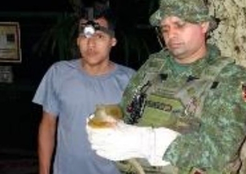 Macaco mico-de-cheiro é resgatado pela polícia na Avenida Brasil