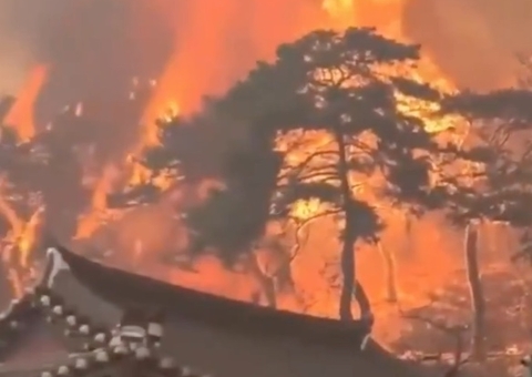 Incêndios florestais deixam ao menos 24 mortos na Coreia do Sul