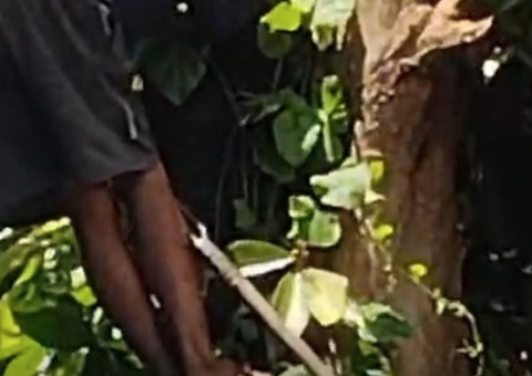 Adolescente é resgatado em árvore com lança atravessada na perna em Manacapuru