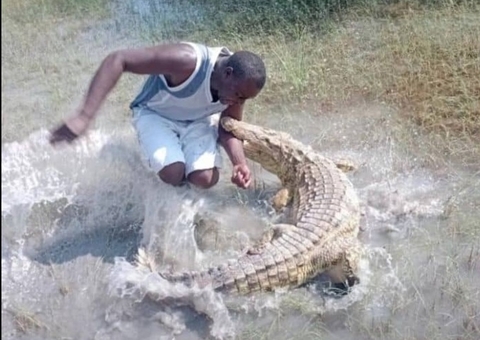 Guarda é atacado por crocodilo após provocá-lo na Namíbia