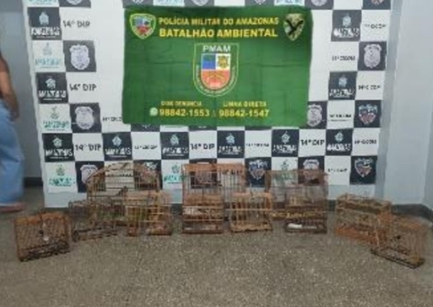 Homem é preso ao ser flagrado com 10 pássaros em cativeiro no Jorge Teixeira