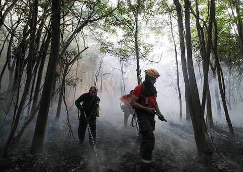 Municípios do Amazonas liderados pelo União Brasil aderem a programa contra desmatamento