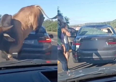 Vídeo: Touro persegue pedestre e destrói BMW em avenida de Ribeirão Preto