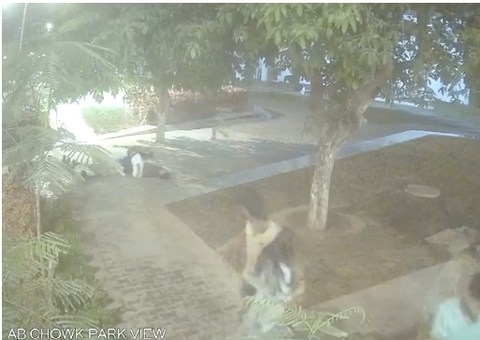 Raio atinge cinco estudantes em universidade durante temporal