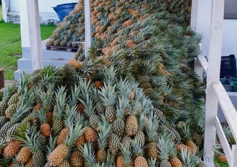 Exportação de produtos amazônicos cresce e abre portas nos EUA