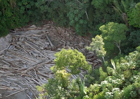 Réu deve pagar quase R$ 1 milhão por destruição de área protegida no Amazonas
