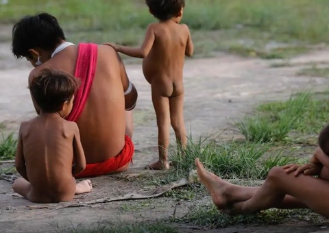 Número de óbitos no território Yanomami teve redução de 21% em 2024