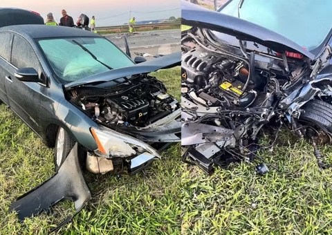 Atropelamento de búfalo resulta em acidente envolvendo quatro veículos