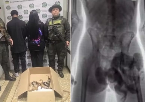 Dupla é presa após tentar embarcar com macacos dentro das roupas íntimas