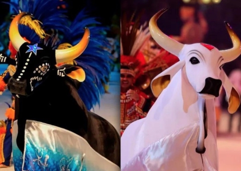 Caprichoso e Garantido são homenageados na Câmara dos Deputados