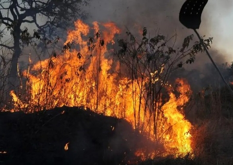 Ibama multa 242 pessoas por incêndios criminosos em 2024