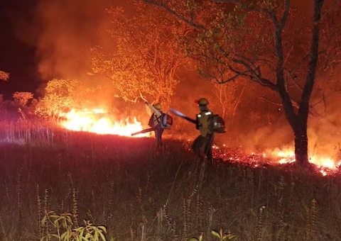 Amazonas expande bases dos Bombeiros e reforça combate a queimadas em 16 municípios
