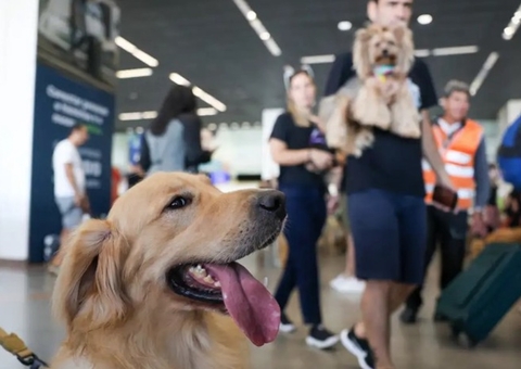 STJ autoriza empresas aéreas a negar transporte de animais 
