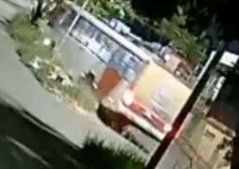 Ônibus colide com árvore após motorista cochilar ao volante em Manaus; vídeo